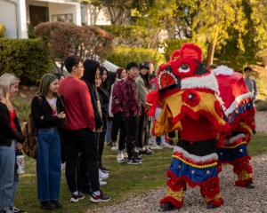 Chinese New Year Celebration