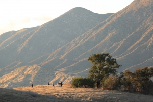 Scenic campus hiking